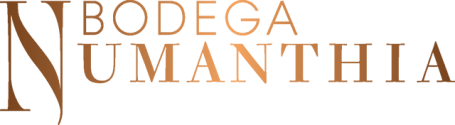 Bodega Numanthia